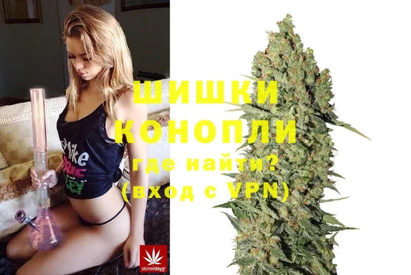 наркотики  Нерчинск  Бошки Шишки OG Kush 